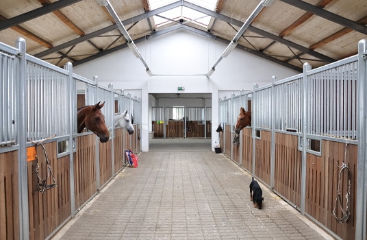 Stable Buildings