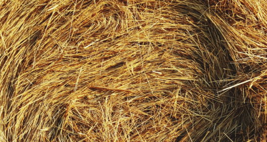 Horse Hay Storage (Cover Image)