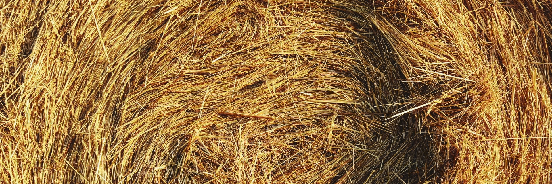 Horse Hay Storage (Cover Image)