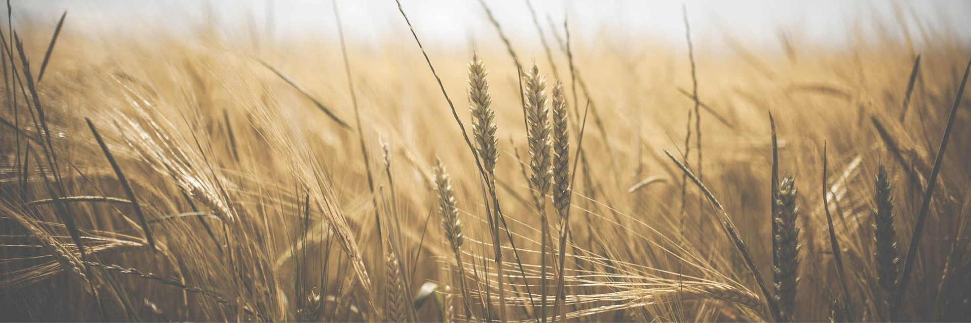 Is Farming Profitable Kit Buildings Direct